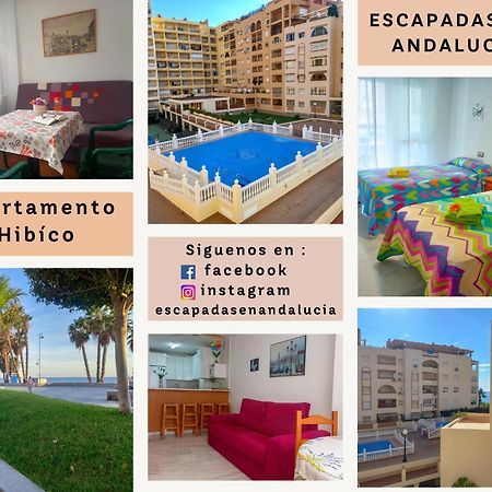 Apartamento Hibisco , Primera Linea De Playa 阿尔姆尼卡 外观 照片