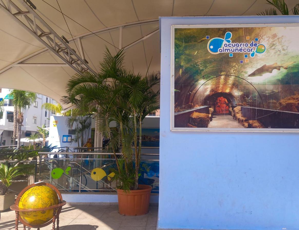 Apartamento Hibisco , Primera Linea De Playa 阿尔姆尼卡 外观 照片